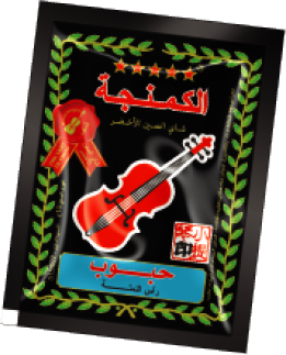 VIOLON 10
